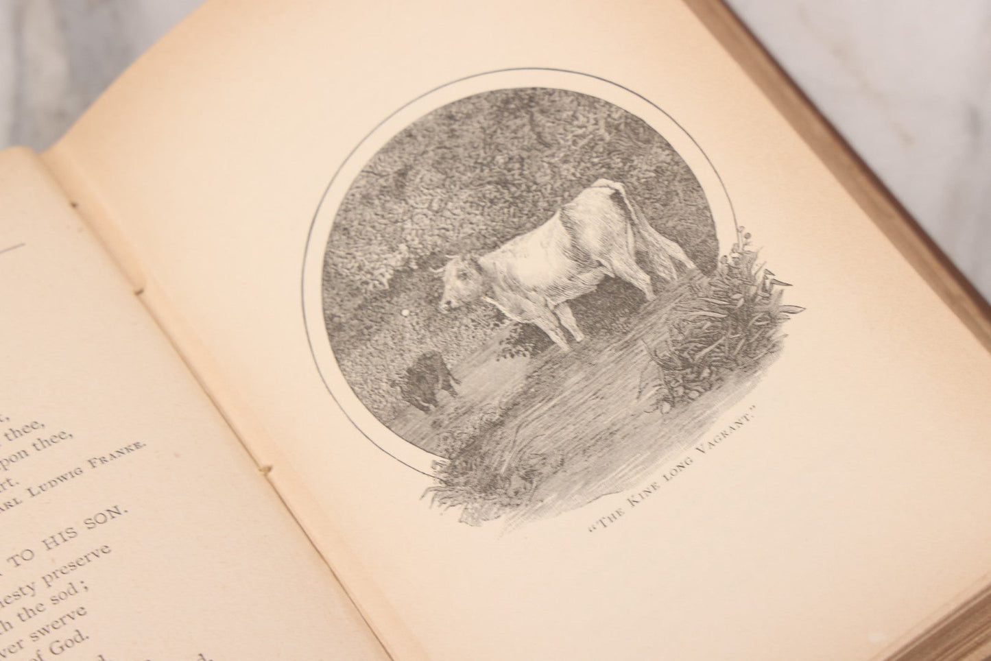 Lot 121 - "Poems Of Home And Country" Antique Illustrated Poetry Book With Gold Embossed Hearth And Home Designs On Cover, By Prof. James Martling, Published By James H. Earle, Boston, 1884