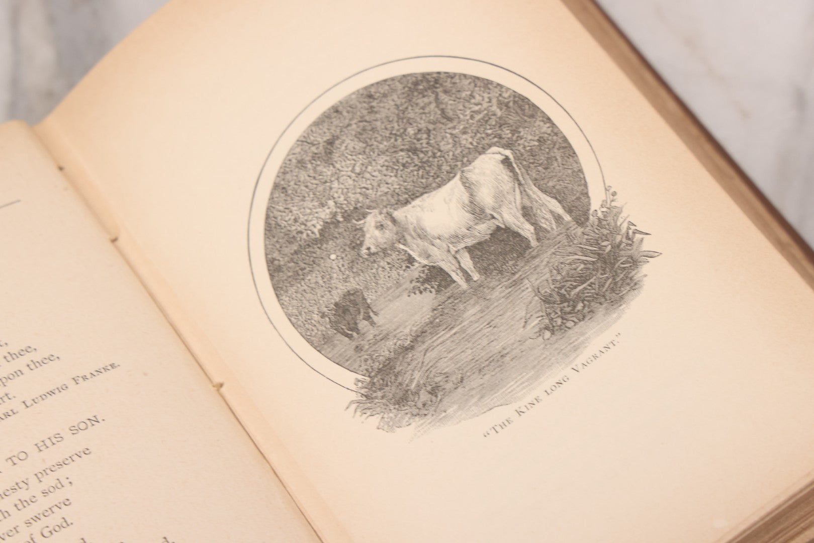 Lot 121 - "Poems Of Home And Country" Antique Illustrated Poetry Book With Gold Embossed Hearth And Home Designs On Cover, By Prof. James Martling, Published By James H. Earle, Boston, 1884