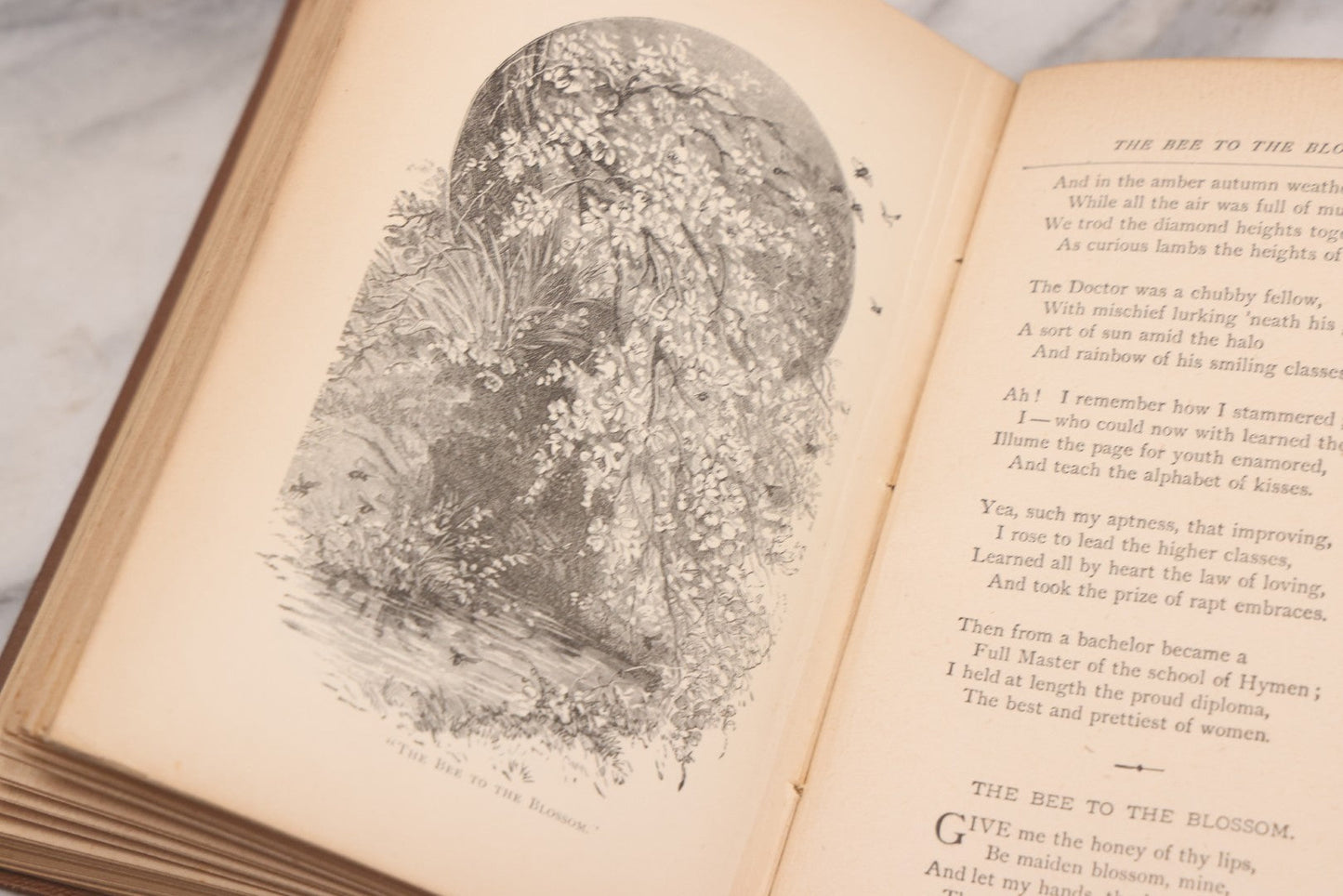 Lot 121 - "Poems Of Home And Country" Antique Illustrated Poetry Book With Gold Embossed Hearth And Home Designs On Cover, By Prof. James Martling, Published By James H. Earle, Boston, 1884