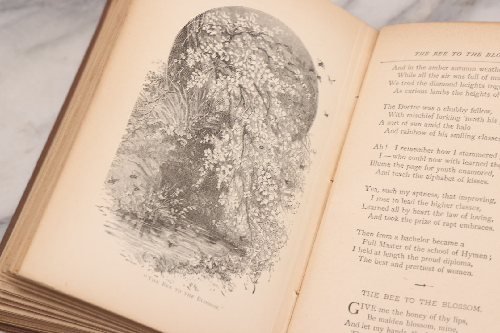 Lot 121 - "Poems Of Home And Country" Antique Illustrated Poetry Book With Gold Embossed Hearth And Home Designs On Cover, By Prof. James Martling, Published By James H. Earle, Boston, 1884