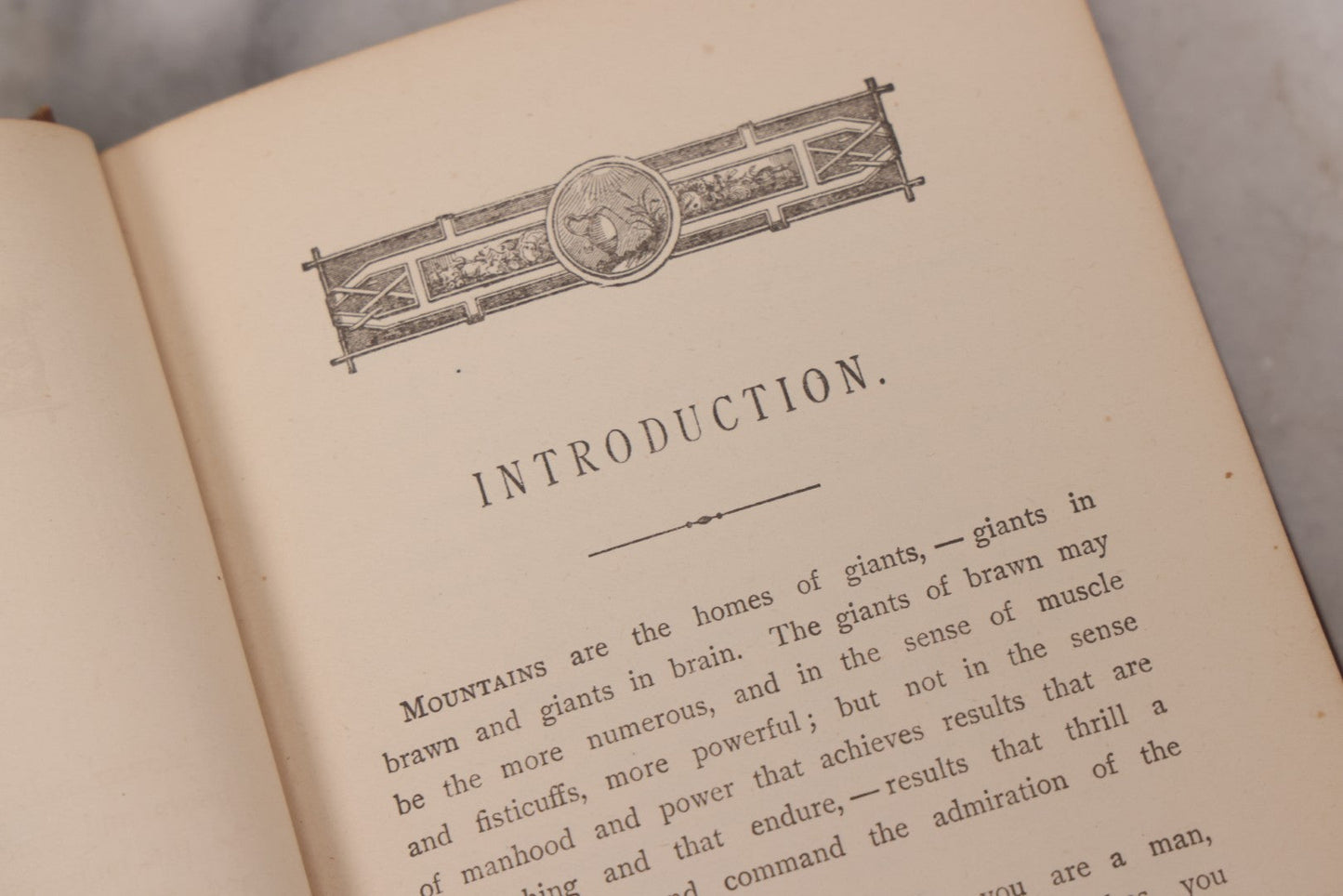 Lot 122 - "Pine To Potomac, Life Of James G. Blaine" Antique Illustrated Book From The "Log Cabin To White House" Series, By E.K. Cressey, Published By James H. Earle, Boston, 1884