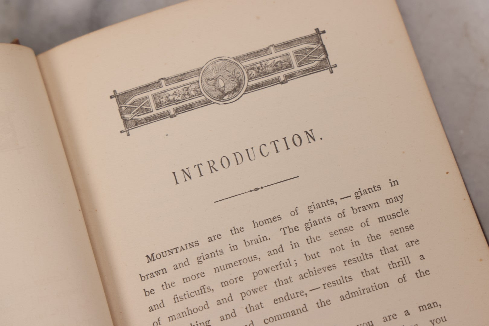 Lot 122 - "Pine To Potomac, Life Of James G. Blaine" Antique Illustrated Book From The "Log Cabin To White House" Series, By E.K. Cressey, Published By James H. Earle, Boston, 1884