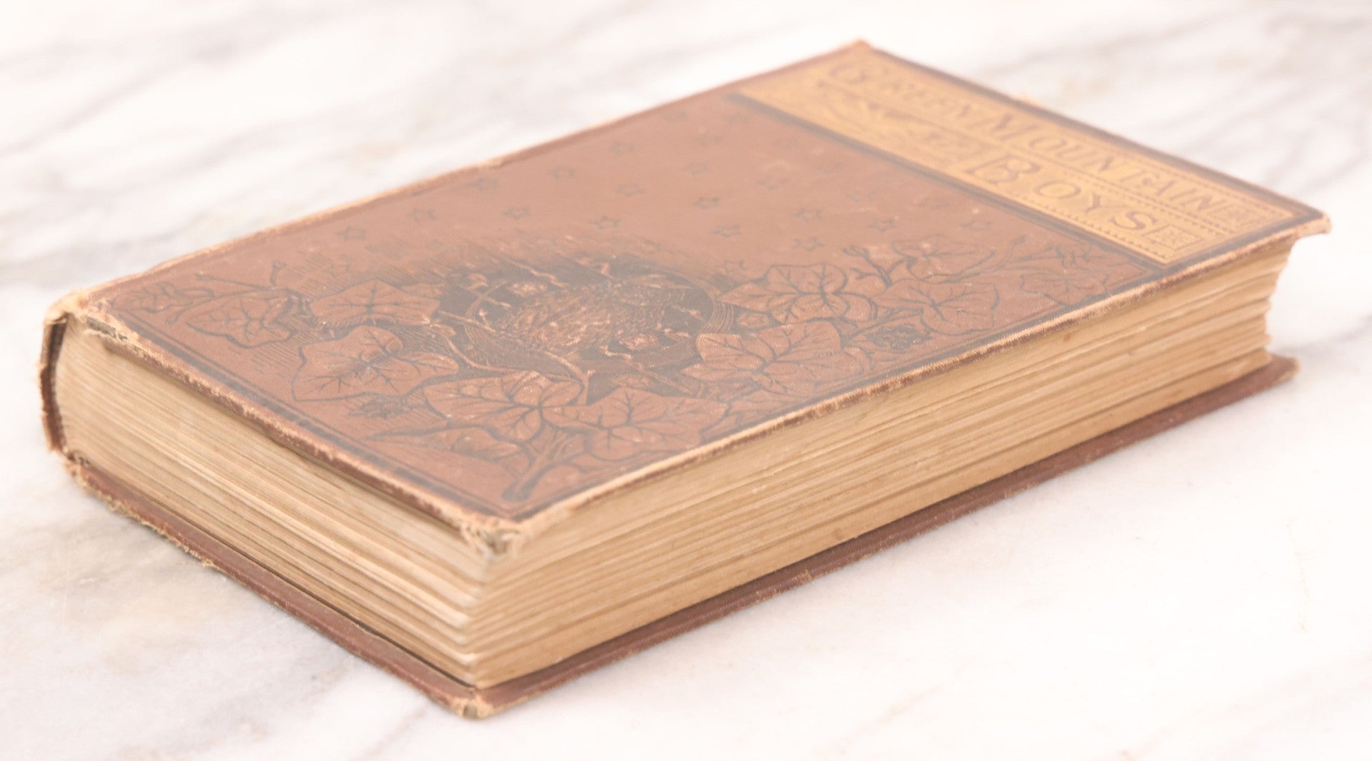 Lot 124 - "Green Mountain Boys" Antique History Book On The Early Settlement Of Vermont, Featuring Embossed Owl Illustration On Cover, Published By Hall And Whiting, Boston, 1848