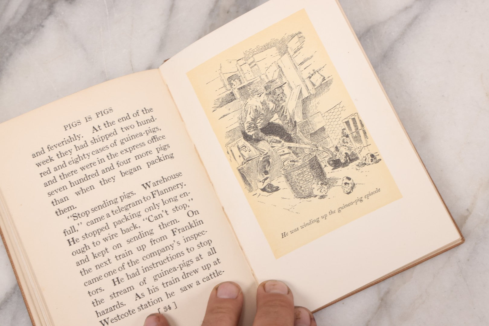 Lot 130 - "Pigs Is Pigs" Antique Illustrated Story Book With Odd Illustration On Cover Of Guinea Pigs Emptying Cornucopias Full Of Miniature Guinea Pigs, By Ellis Parker Butler, Published By McClure, Phillips And Co., 1906