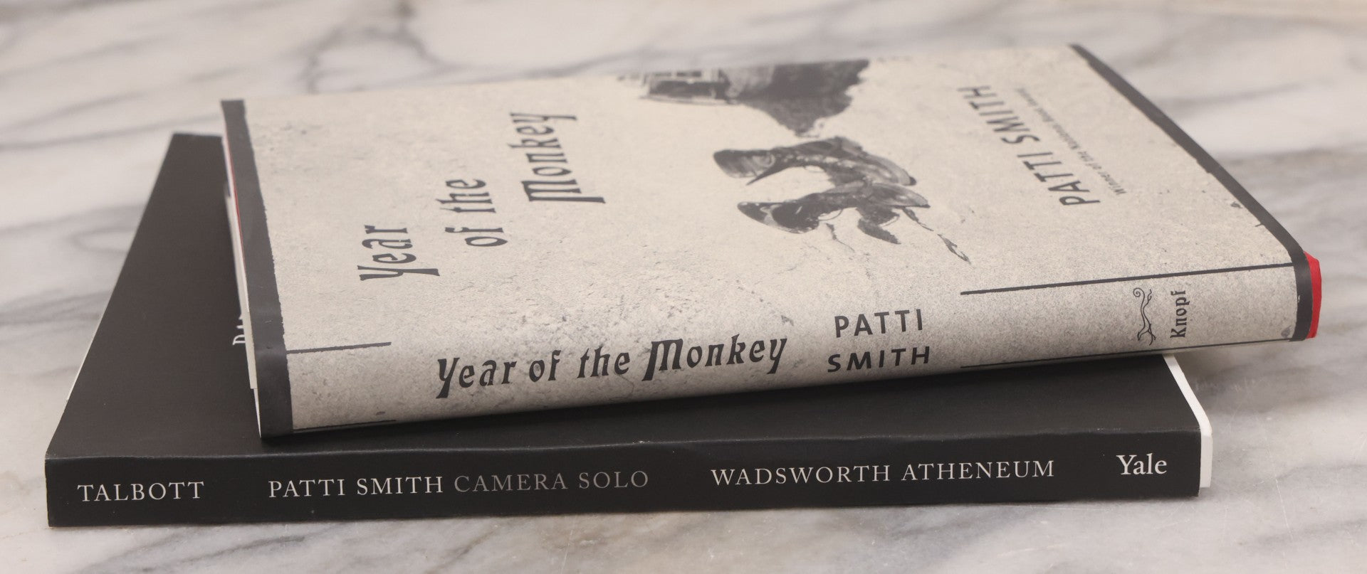 Lot 138 - Pair Of Modern Books by Patti Smith, Musician, Photographer, Artist, Including "Year Of The Monkey" (2019) Memoir, And "Camera Solo" (2011) Photography Exhibition Catalogue