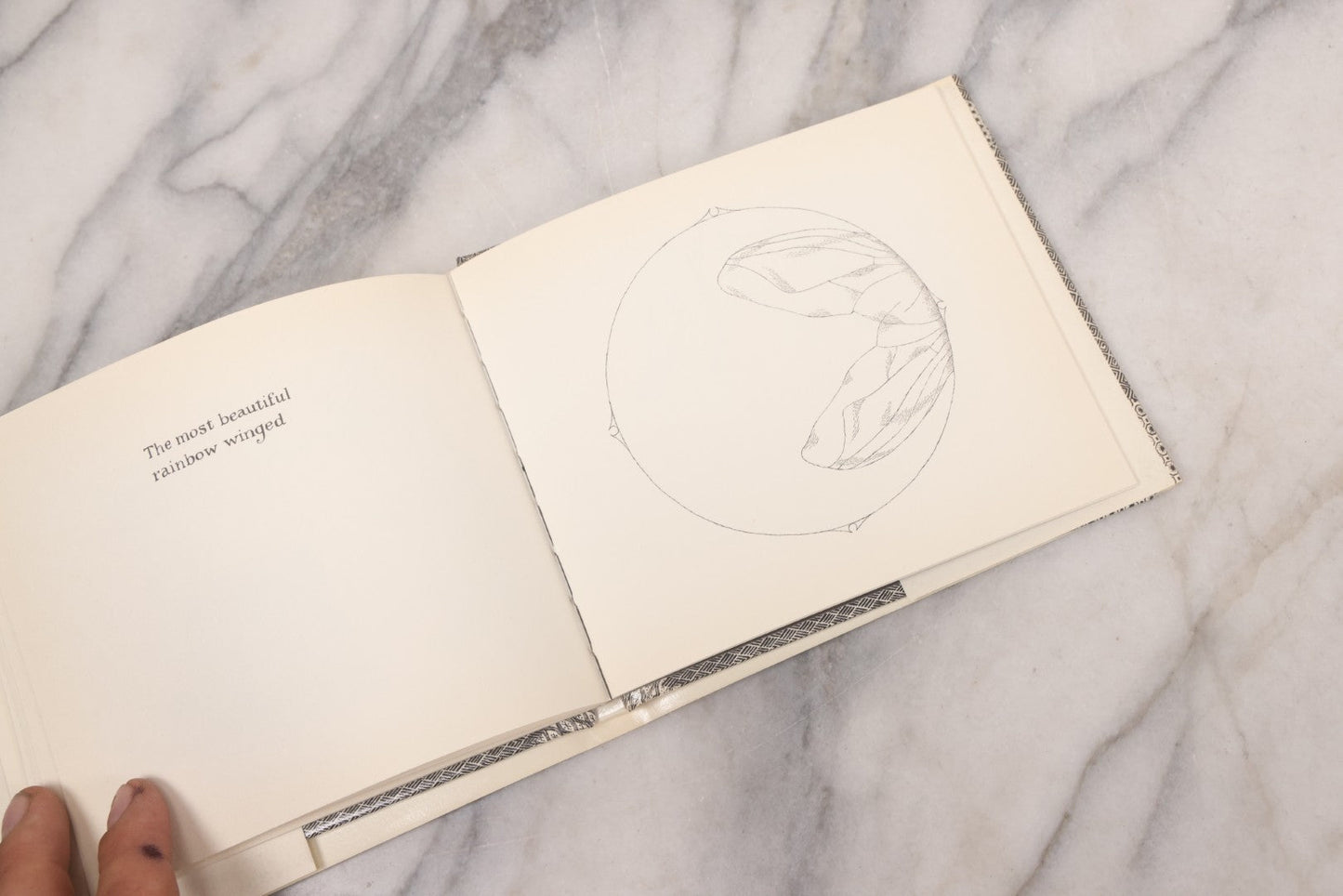 Lot 139 - Pair Of Modern Books Written And Illustrated By Edward Gorey, "Donald And The..." (2004 Reprint) Co-Authored By Peter F. Neumeyer And "The Epiplectic Bicycle" (1997 Reprint)