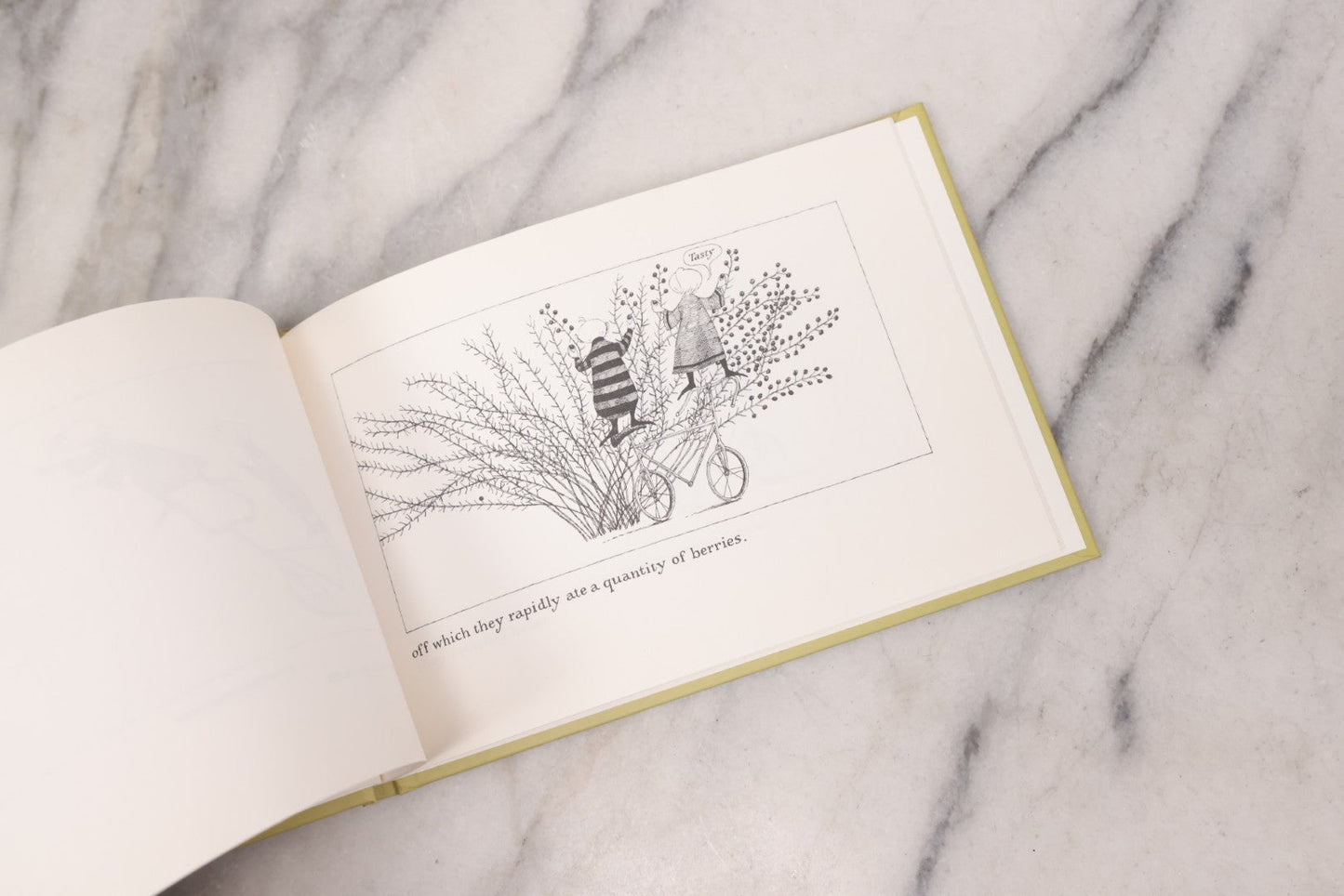 Lot 139 - Pair Of Modern Books Written And Illustrated By Edward Gorey, "Donald And The..." (2004 Reprint) Co-Authored By Peter F. Neumeyer And "The Epiplectic Bicycle" (1997 Reprint)