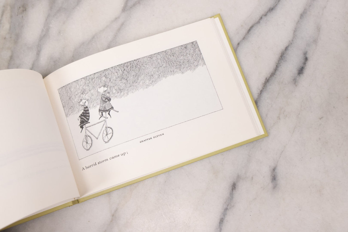 Lot 139 - Pair Of Modern Books Written And Illustrated By Edward Gorey, "Donald And The..." (2004 Reprint) Co-Authored By Peter F. Neumeyer And "The Epiplectic Bicycle" (1997 Reprint)