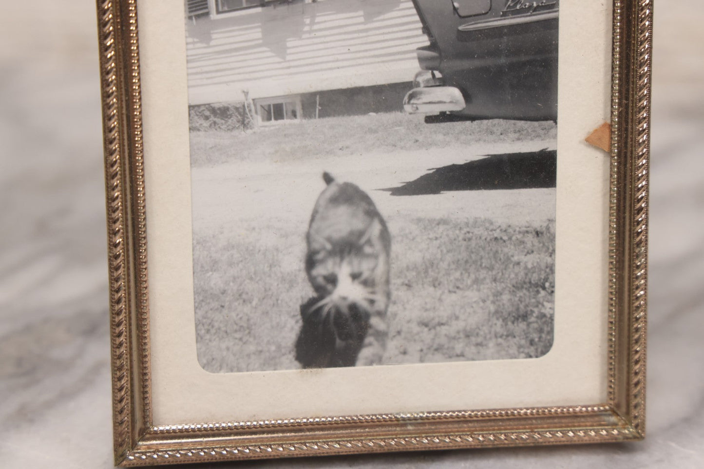 Lot 140 - Vintage Snapshot Photograph Of Curious Kitten In Driveway, With Car In Photo, In Vintage Metal Frame, Circa 1940s, 4-1/8" x 5-1/8"