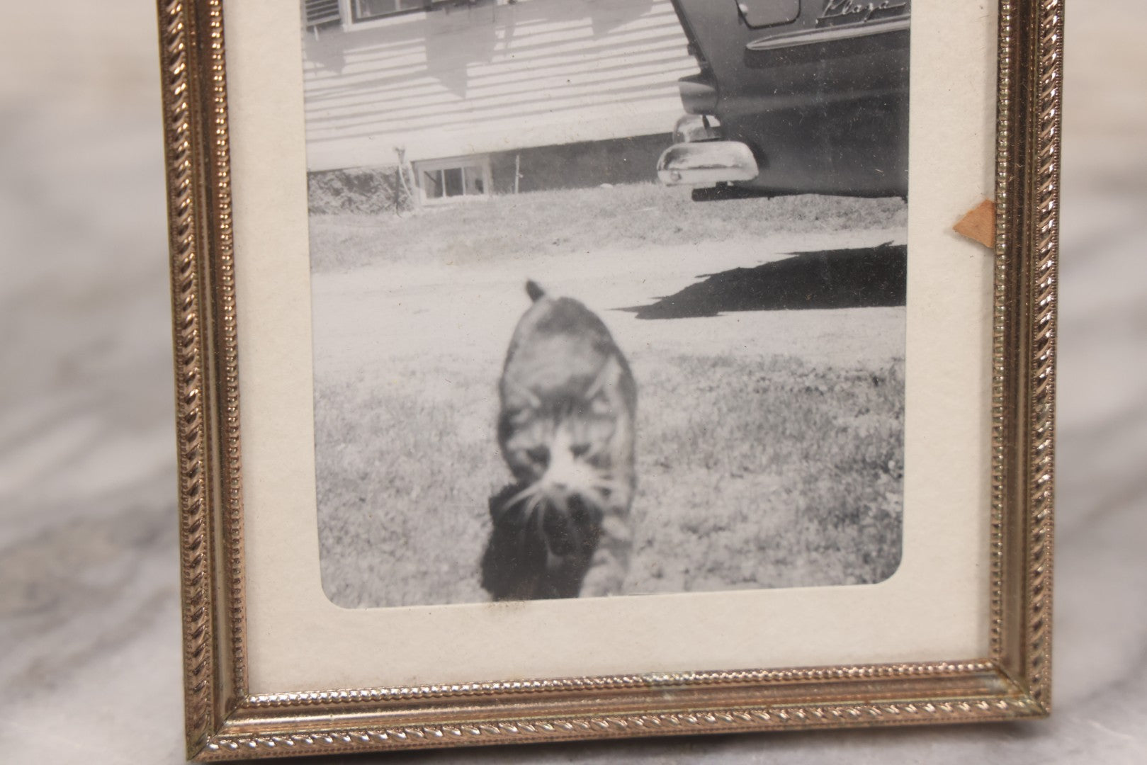 Lot 140 - Vintage Snapshot Photograph Of Curious Kitten In Driveway, With Car In Photo, In Vintage Metal Frame, Circa 1940s, 4-1/8" x 5-1/8"