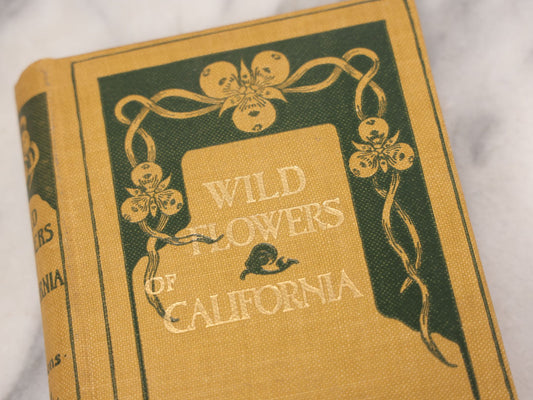 Lot 010 - "The Wild Flowers Of California" By Mary Elizabeth Parsons, Illustrated By Margaret Warriner Buck, Published By Payot, Upham & Company, San Francisco, 1900, With Orchid Art Nouveau Design On Cover, Note Water Damage
