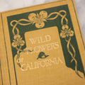 Lot 010 - "The Wild Flowers Of California" By Mary Elizabeth Parsons, Illustrated By Margaret Warriner Buck, Published By Payot, Upham & Company, San Francisco, 1900, With Orchid Art Nouveau Design On Cover, Note Water Damage