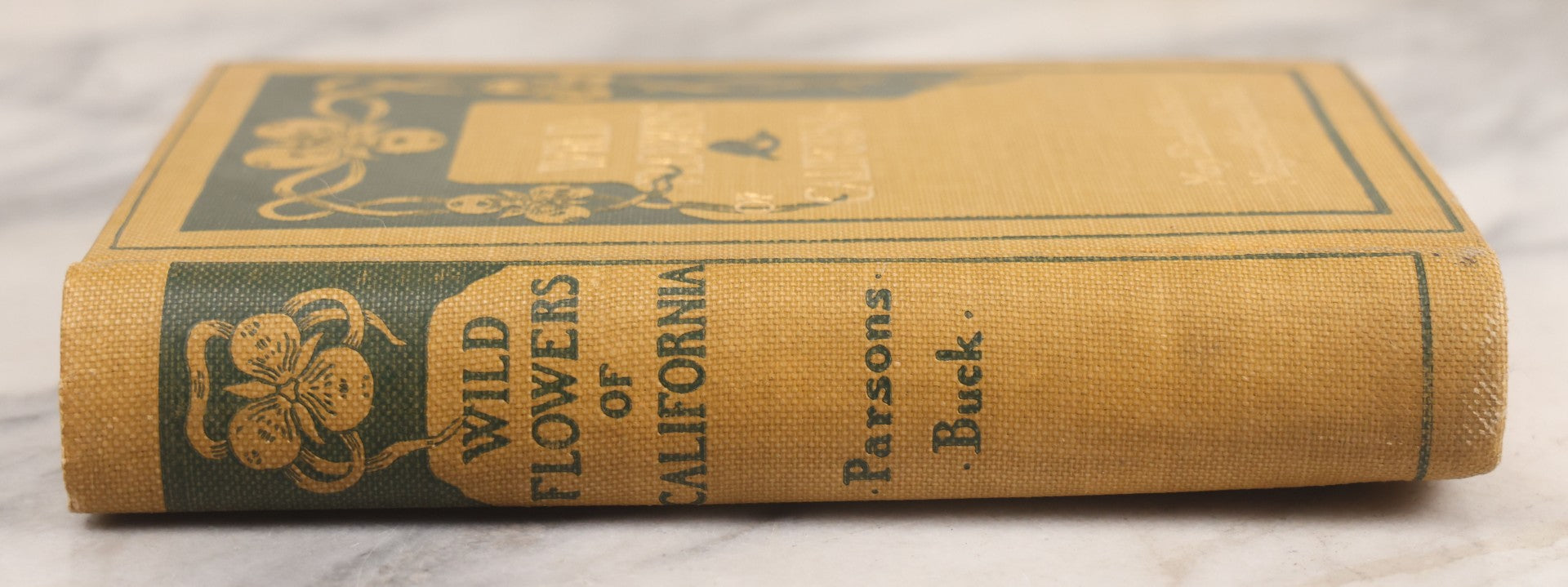Lot 010 - "The Wild Flowers Of California" By Mary Elizabeth Parsons, Illustrated By Margaret Warriner Buck, Published By Payot, Upham & Company, San Francisco, 1900, With Orchid Art Nouveau Design On Cover, Note Water Damage