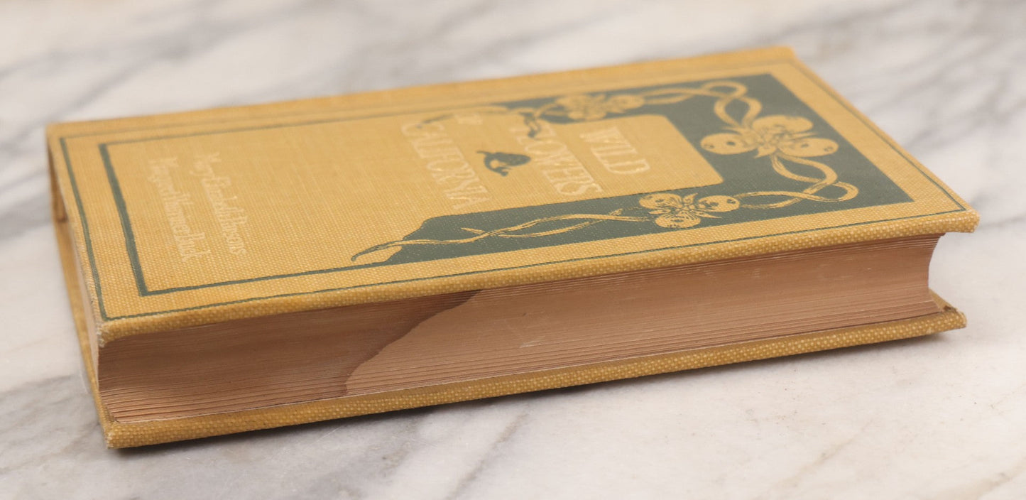 Lot 010 - "The Wild Flowers Of California" By Mary Elizabeth Parsons, Illustrated By Margaret Warriner Buck, Published By Payot, Upham & Company, San Francisco, 1900, With Orchid Art Nouveau Design On Cover, Note Water Damage