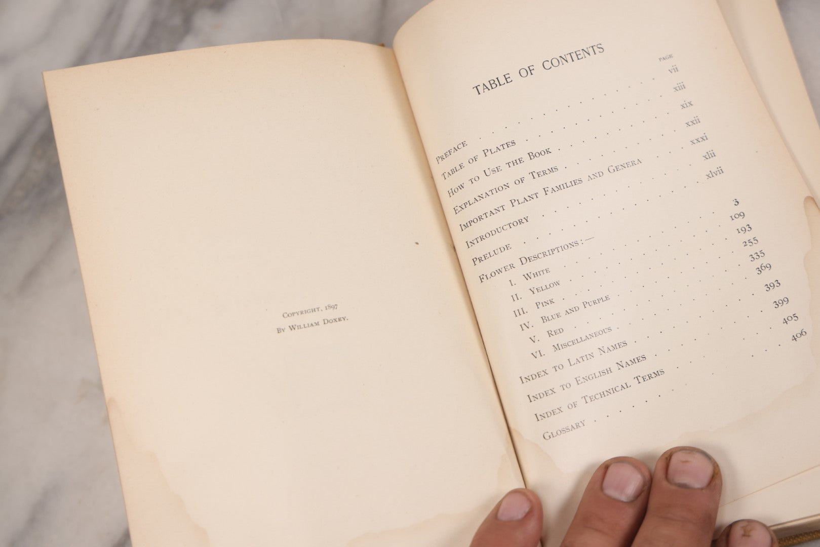 Lot 010 - "The Wild Flowers Of California" By Mary Elizabeth Parsons, Illustrated By Margaret Warriner Buck, Published By Payot, Upham & Company, San Francisco, 1900, With Orchid Art Nouveau Design On Cover, Note Water Damage