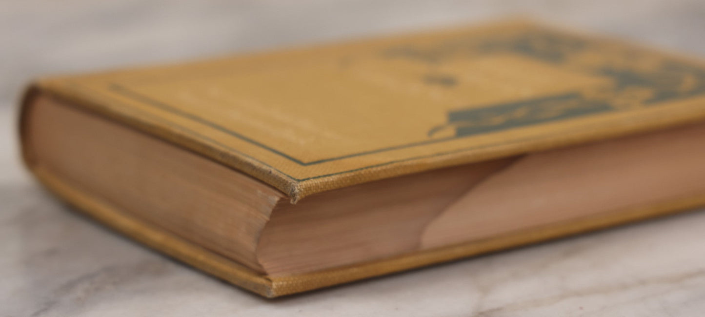 Lot 010 - "The Wild Flowers Of California" By Mary Elizabeth Parsons, Illustrated By Margaret Warriner Buck, Published By Payot, Upham & Company, San Francisco, 1900, With Orchid Art Nouveau Design On Cover, Note Water Damage