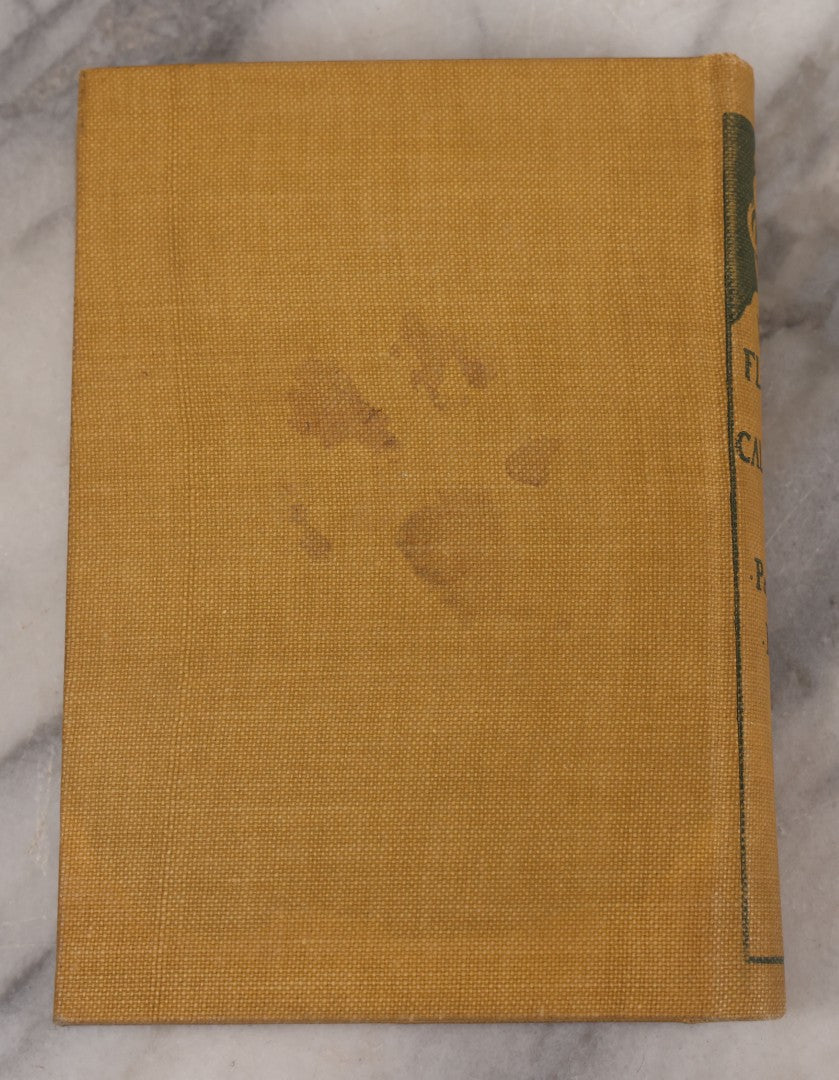 Lot 010 - "The Wild Flowers Of California" By Mary Elizabeth Parsons, Illustrated By Margaret Warriner Buck, Published By Payot, Upham & Company, San Francisco, 1900, With Orchid Art Nouveau Design On Cover, Note Water Damage