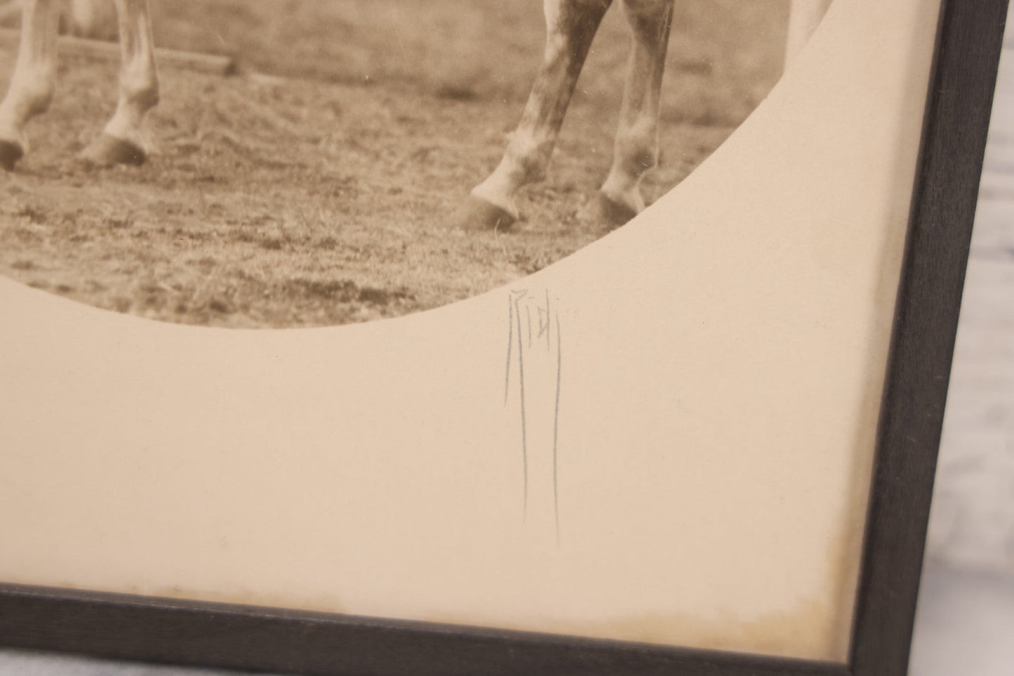Lot 098 - Antique Circle Photo Of Man In Formal Riding Dress On Horse With Artist Signature "Ridi," In Frame, Fred Olsen's Art Shop Sticker On Verso, Cambridge, Mass, 8-3/8" x 9-5/8"