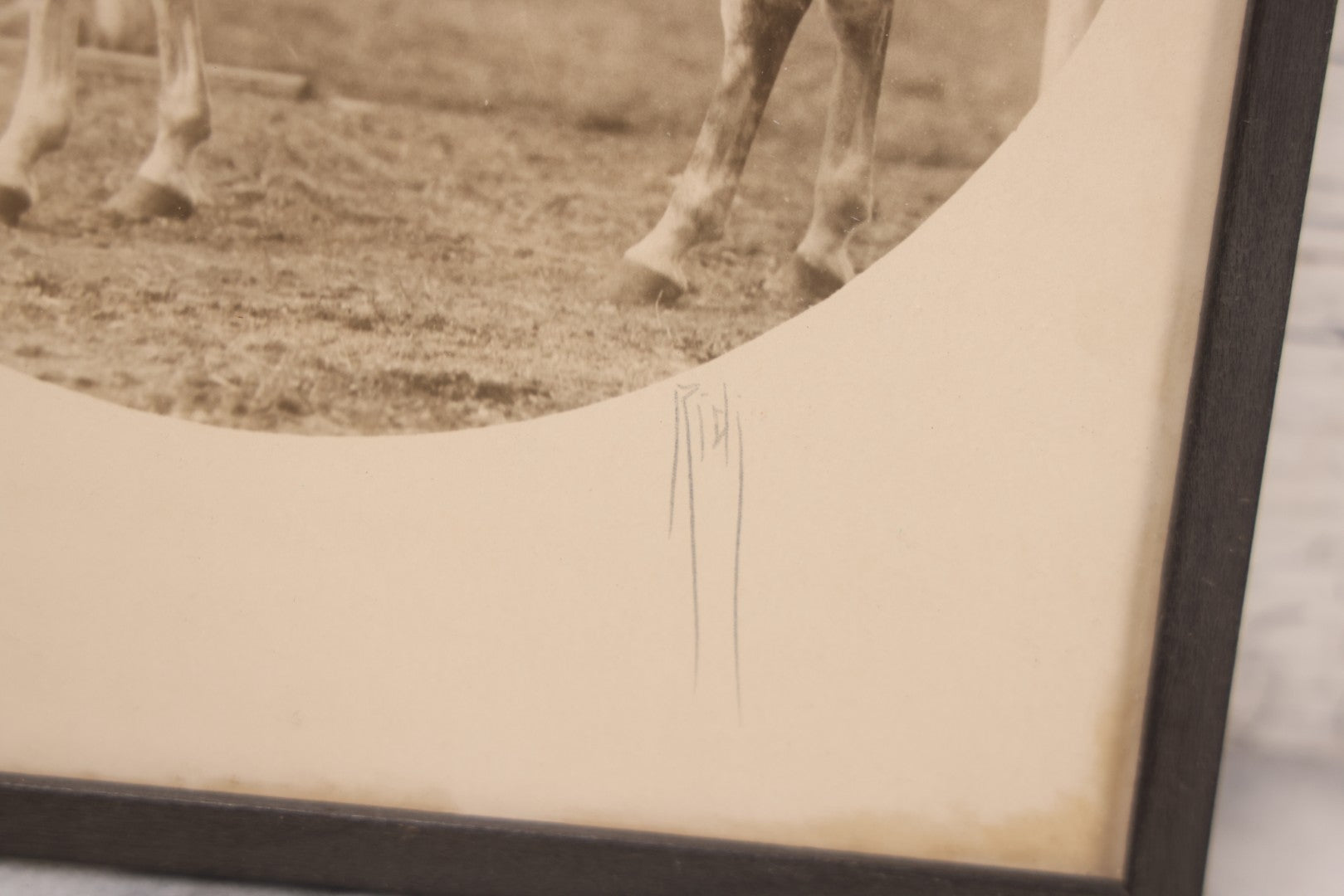 Lot 098 - Antique Circle Photo Of Man In Formal Riding Dress On Horse With Artist Signature "Ridi," In Frame, Fred Olsen's Art Shop Sticker On Verso, Cambridge, Mass, 8-3/8" x 9-5/8"