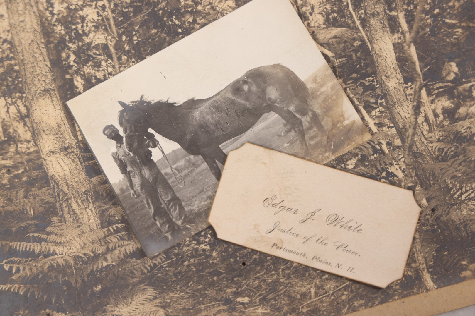 Lot 102 - Grouping Of 10+ Antique Photos With Various Subjects, Ephemera And More, Including Set Of Snapshot Album Pages Loosely Bound Without Covers, Tintype, Calling Card, And Boarded Photos