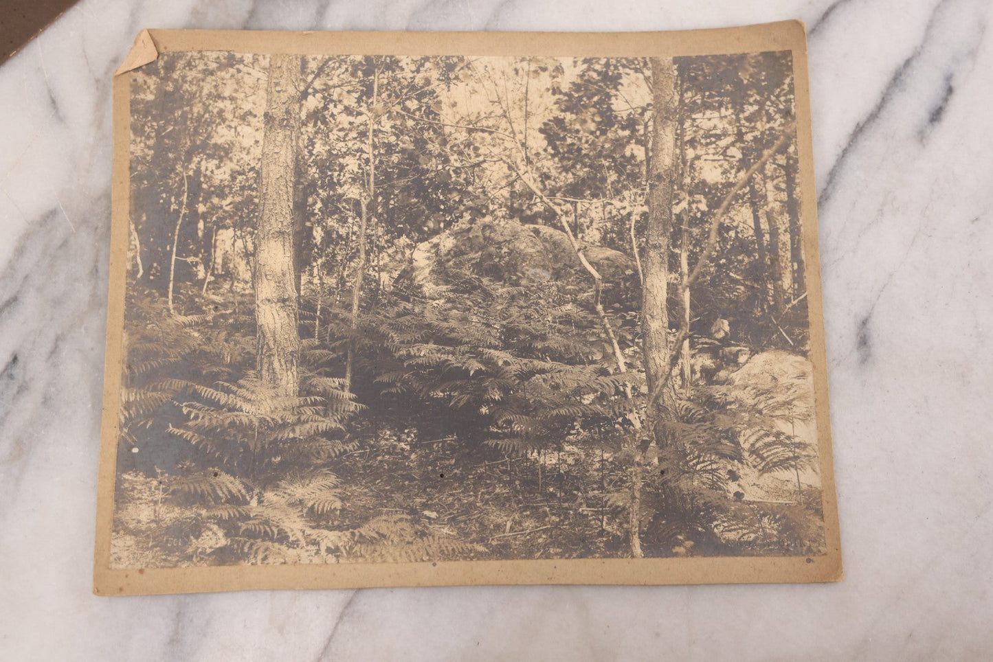Lot 102 - Grouping Of 10+ Antique Photos With Various Subjects, Ephemera And More, Including Set Of Snapshot Album Pages Loosely Bound Without Covers, Tintype, Calling Card, And Boarded Photos