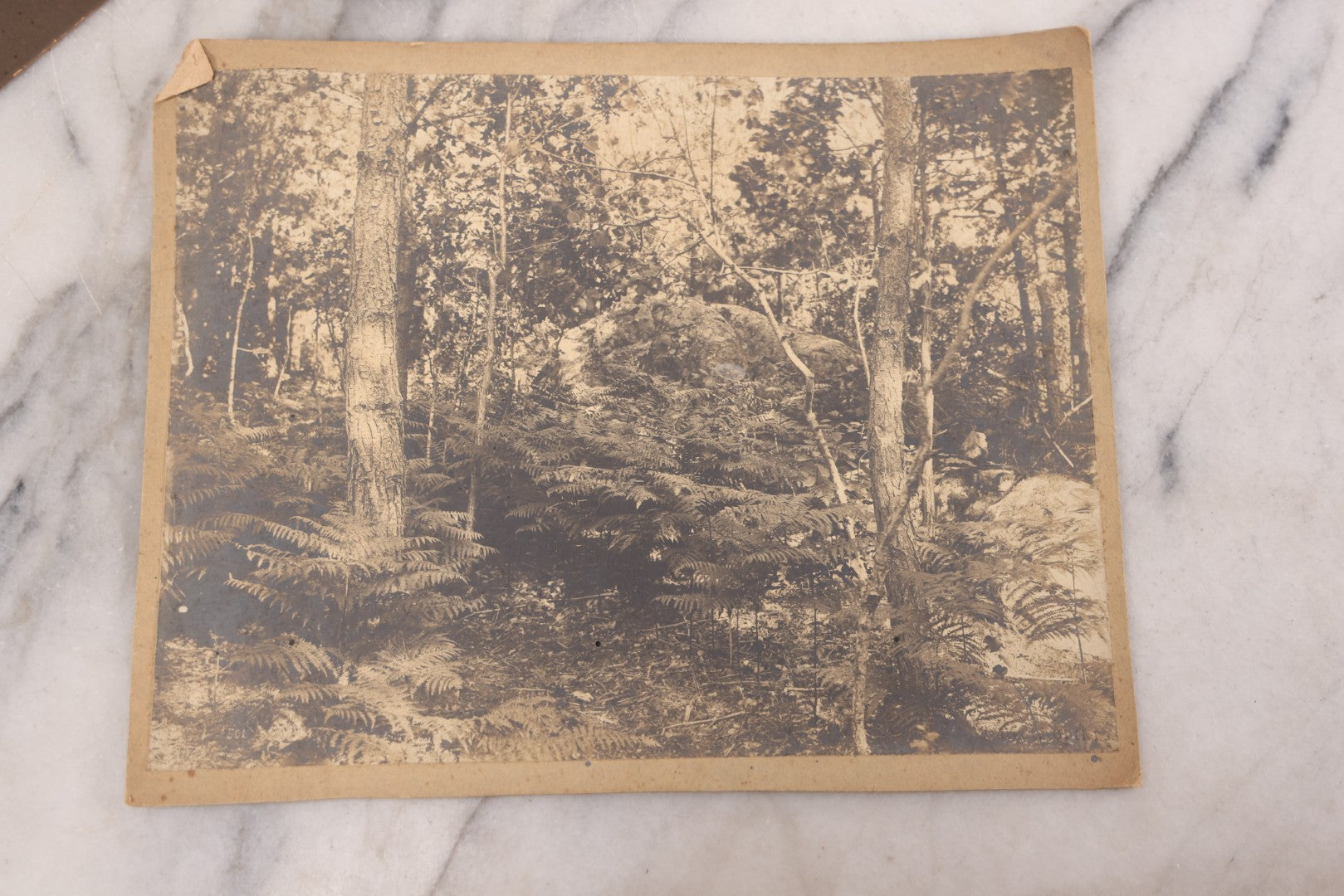 Lot 102 - Grouping Of 10+ Antique Photos With Various Subjects, Ephemera And More, Including Set Of Snapshot Album Pages Loosely Bound Without Covers, Tintype, Calling Card, And Boarded Photos
