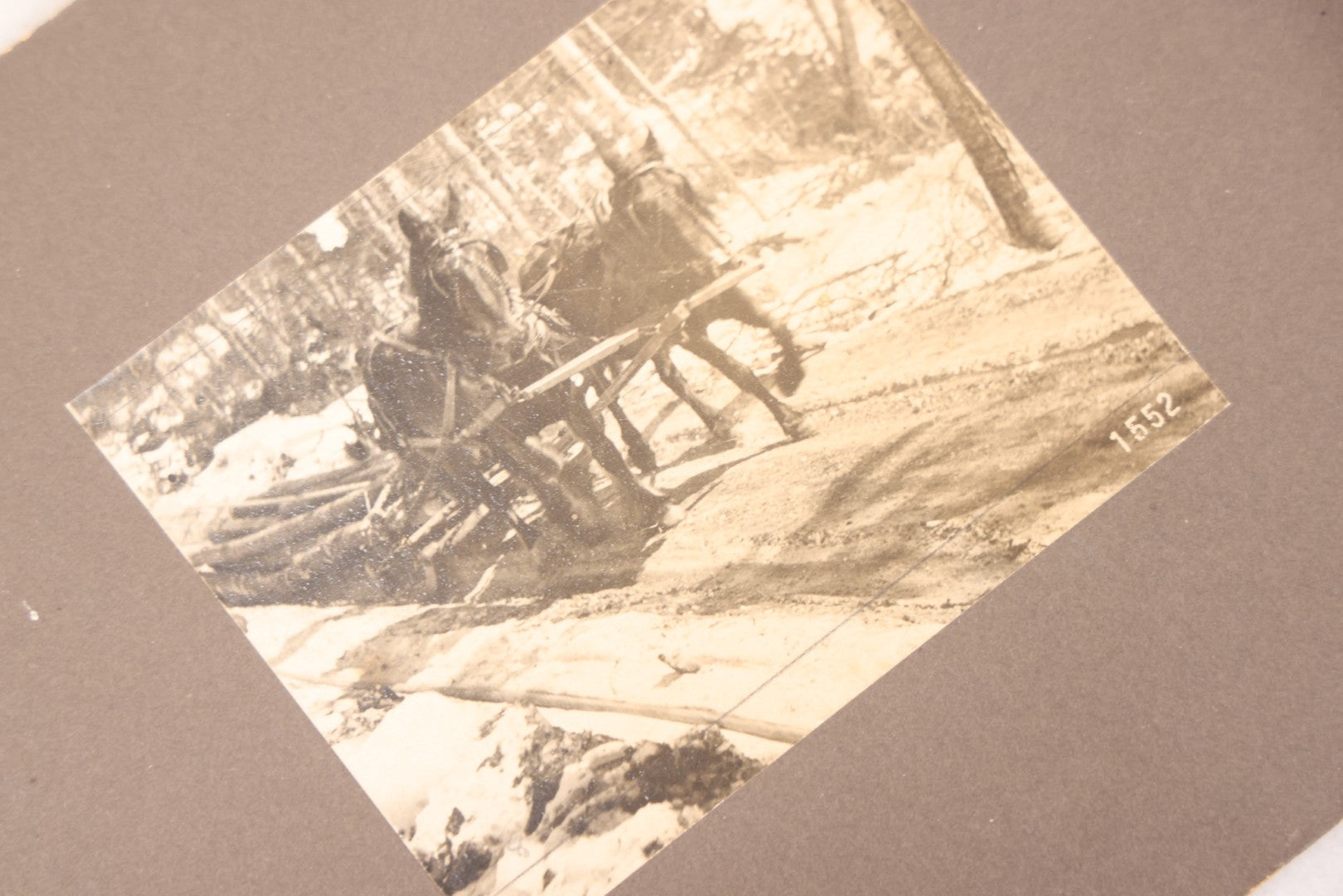 Lot 102 - Grouping Of 10+ Antique Photos With Various Subjects, Ephemera And More, Including Set Of Snapshot Album Pages Loosely Bound Without Covers, Tintype, Calling Card, And Boarded Photos