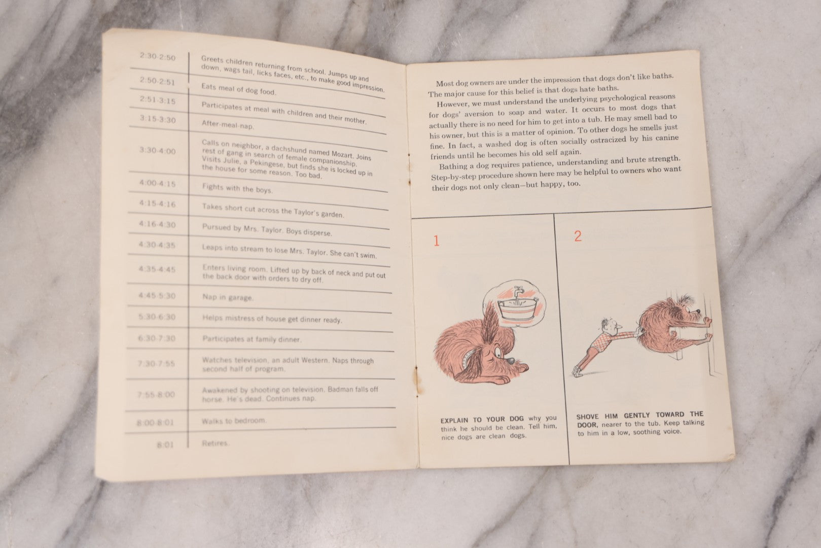 Lot 110 - "How To Live With A Neurotic Dog" Antique Illustrated Advertising Story Booklet Adapted From The Book By Stephen Baker, Cartoons By Eric Gurney, Advertising For Pet-Tabs And Mycodex Pet Shampoo, "Compliments Of The S.E. Massengill Company"