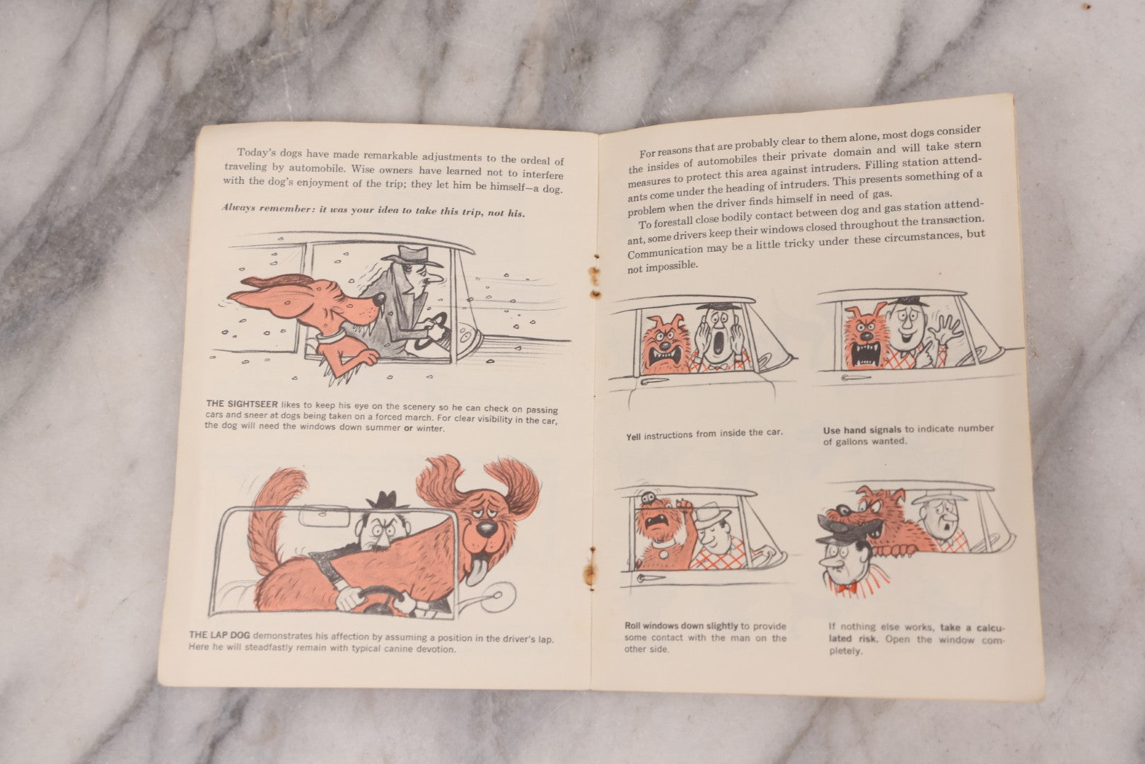 Lot 110 - "How To Live With A Neurotic Dog" Antique Illustrated Advertising Story Booklet Adapted From The Book By Stephen Baker, Cartoons By Eric Gurney, Advertising For Pet-Tabs And Mycodex Pet Shampoo, "Compliments Of The S.E. Massengill Company"