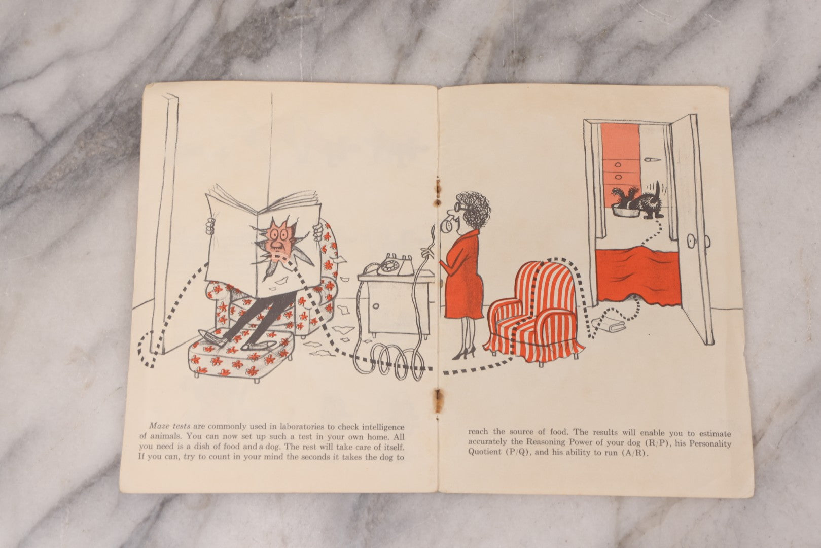 Lot 110 - "How To Live With A Neurotic Dog" Antique Illustrated Advertising Story Booklet Adapted From The Book By Stephen Baker, Cartoons By Eric Gurney, Advertising For Pet-Tabs And Mycodex Pet Shampoo, "Compliments Of The S.E. Massengill Company"