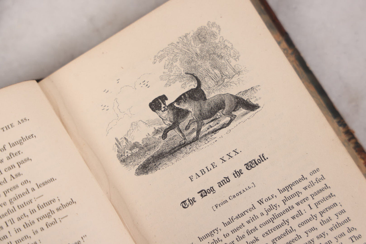 Lot 118 - "Flowers Of Fable" Antique Book With 150 Wood Engravings, Published By Vizetelly, Branston And Co., London, 1832, Bookplate Of Harry H. Baber, Detached Cover Board And Loose Title Page