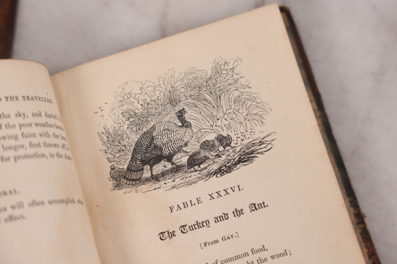 Lot 118 - "Flowers Of Fable" Antique Book With 150 Wood Engravings, Published By Vizetelly, Branston And Co., London, 1832, Bookplate Of Harry H. Baber, Detached Cover Board And Loose Title Page