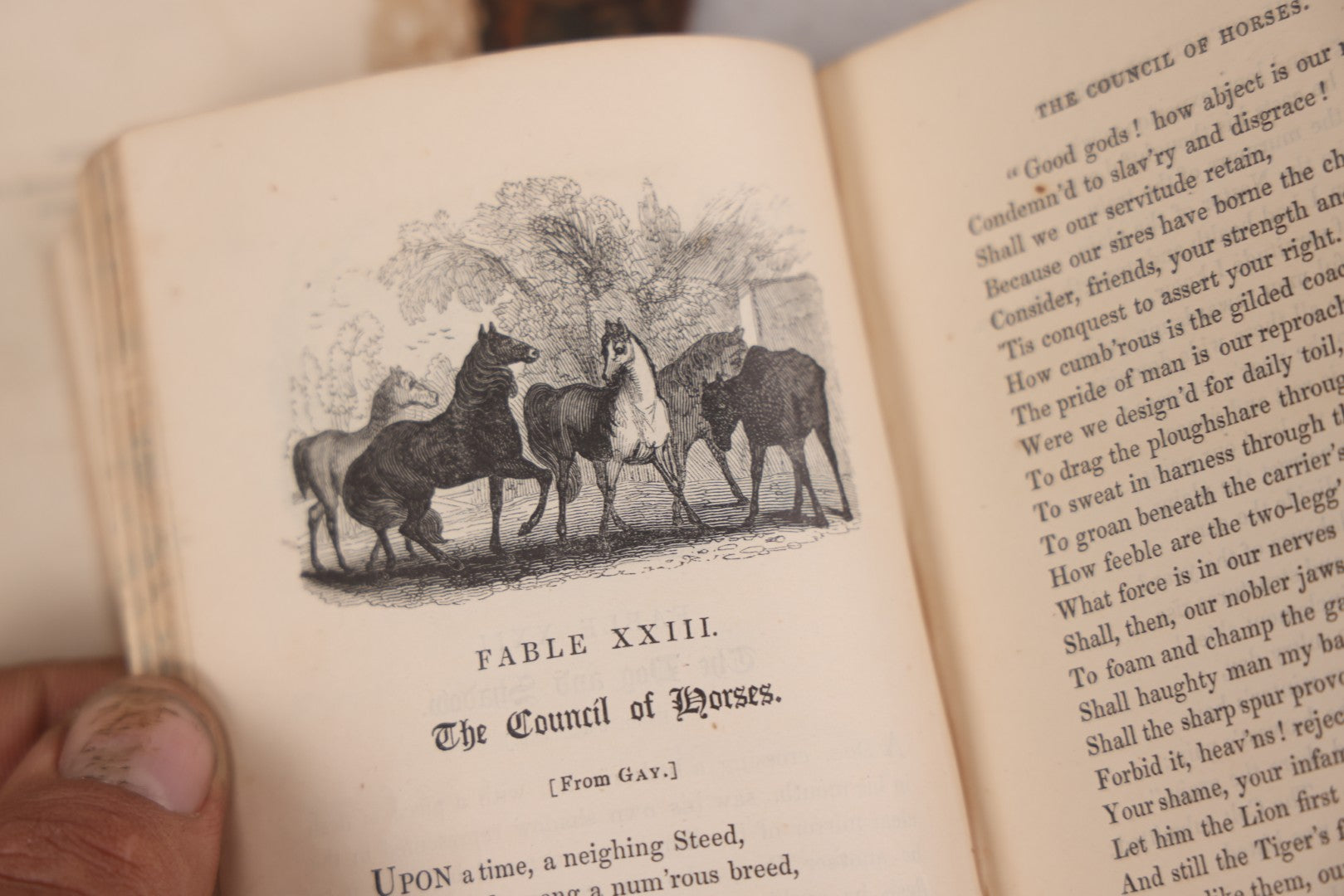 Lot 118 - "Flowers Of Fable" Antique Book With 150 Wood Engravings, Published By Vizetelly, Branston And Co., London, 1832, Bookplate Of Harry H. Baber, Detached Cover Board And Loose Title Page