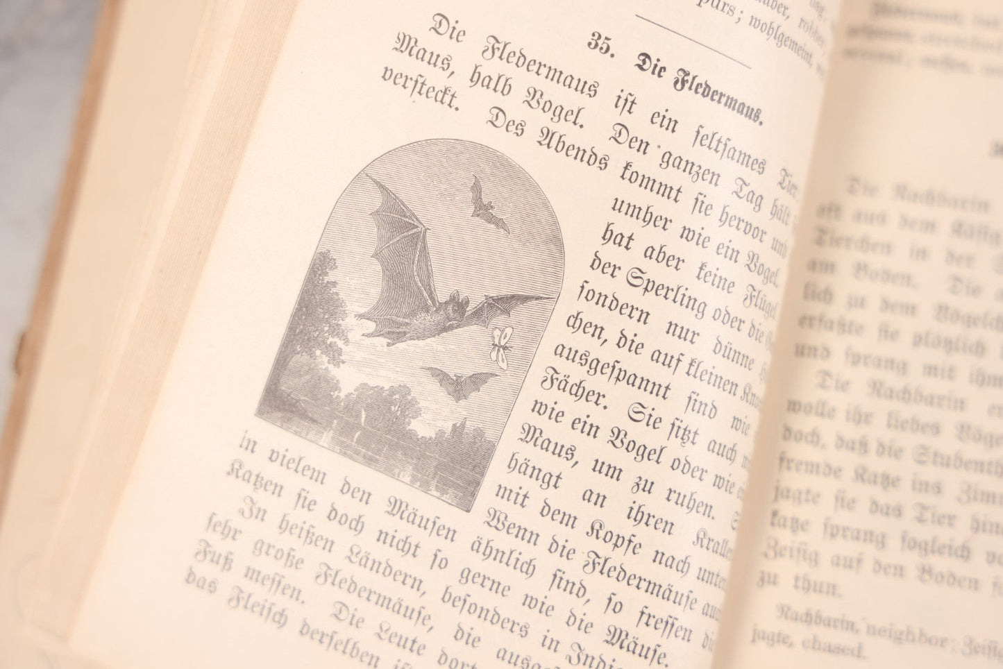 Lot 124 - Grouping Of Three Antique Books For Children: "Zweite Lesebuch" (Second Reader) German Language Instruction Book (1886), "Big People And Little People Of Other Lands" By Edward R. Shaw (1900), And "Forty Famous Stories" By H.A. Mertz (1936)