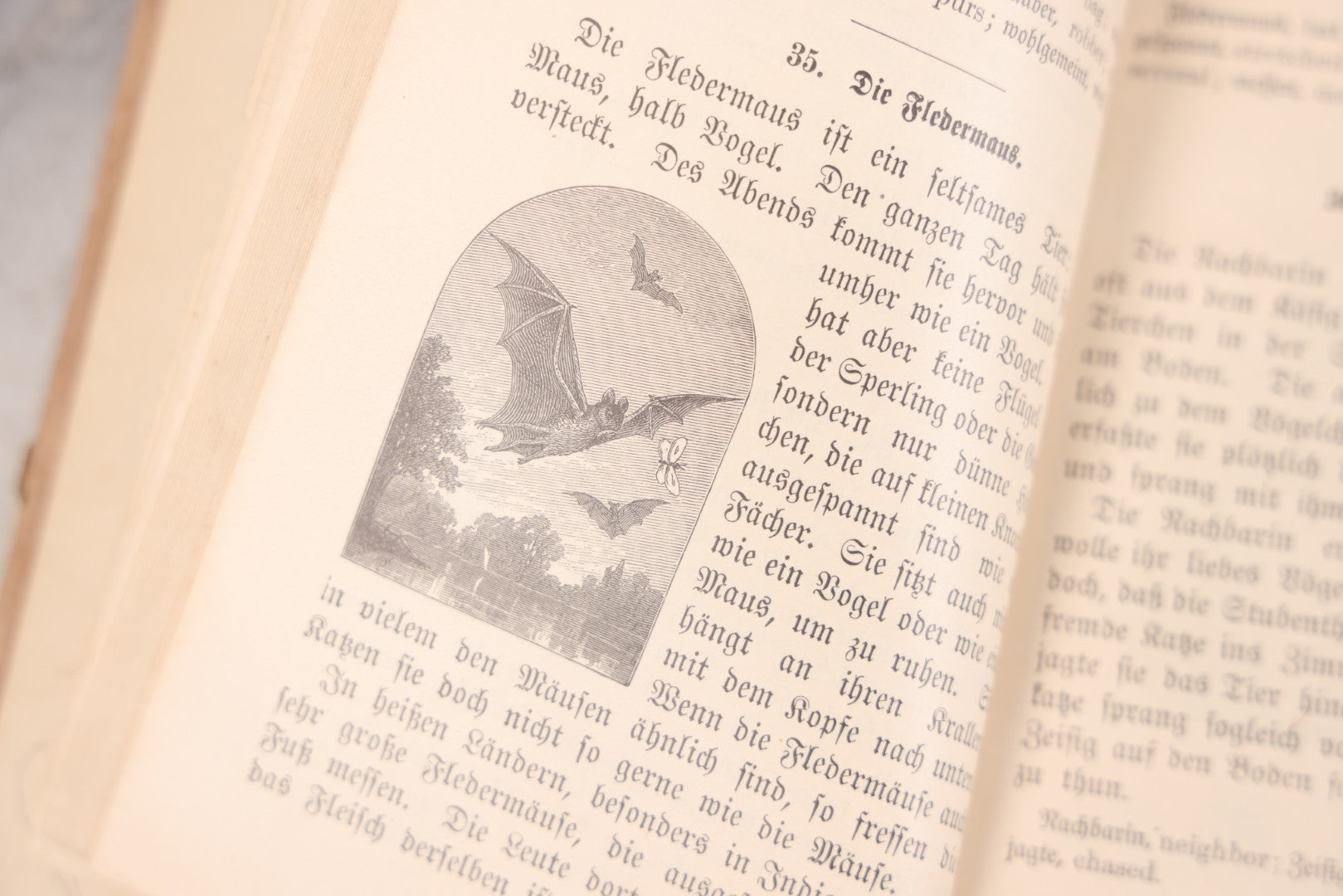 Lot 124 - Grouping Of Three Antique Books For Children: "Zweite Lesebuch" (Second Reader) German Language Instruction Book (1886), "Big People And Little People Of Other Lands" By Edward R. Shaw (1900), And "Forty Famous Stories" By H.A. Mertz (1936)