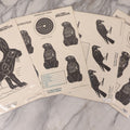 Lot 129 - Grouping Of Four Vintage Paper Winchester Western Rifle Shooting Targets Including Jack Rabbit, Crow, And Two Woodchuck Targets, Copyrighted By Joseph W. Mehmert