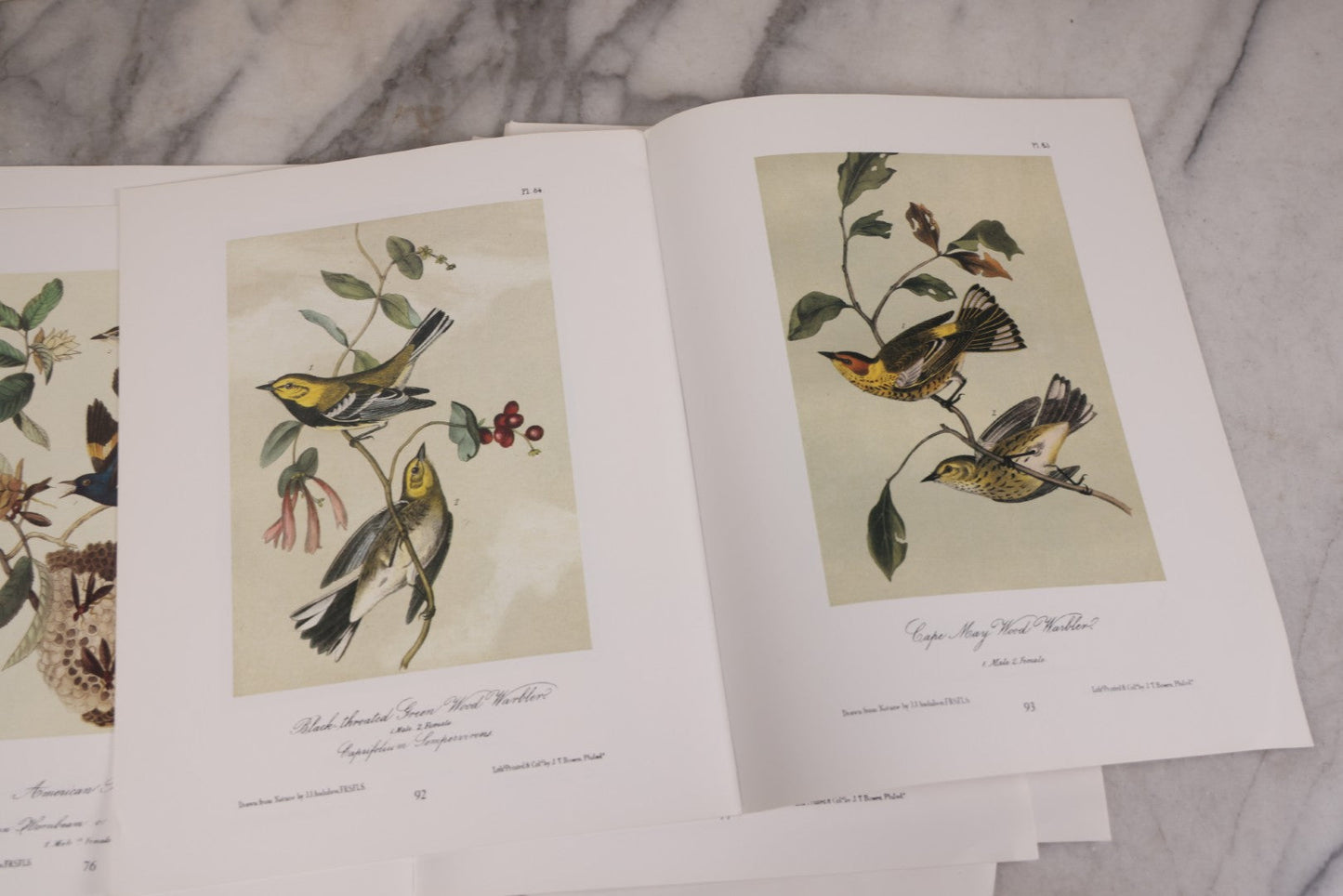 Lot 130 - Grouping Of Modern Loose And Partially Bound Double-Sided Book Plate Prints Of Various Bird Species, Drawn From Nature By J.J. Audubon, Reproduced From Original Lithographs By J.T. Brown