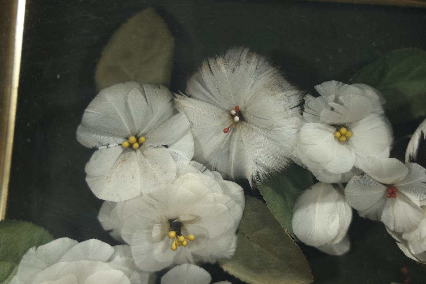 Early 20th Century Shadow Box Bridal Keepsake With Feather Flowers And Wedding Photograph, 23-7/8" X 23-7/8"