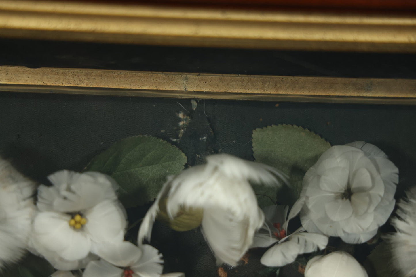 Early 20th Century Shadow Box Bridal Keepsake With Feather Flowers And Wedding Photograph, 23-7/8" X 23-7/8"
