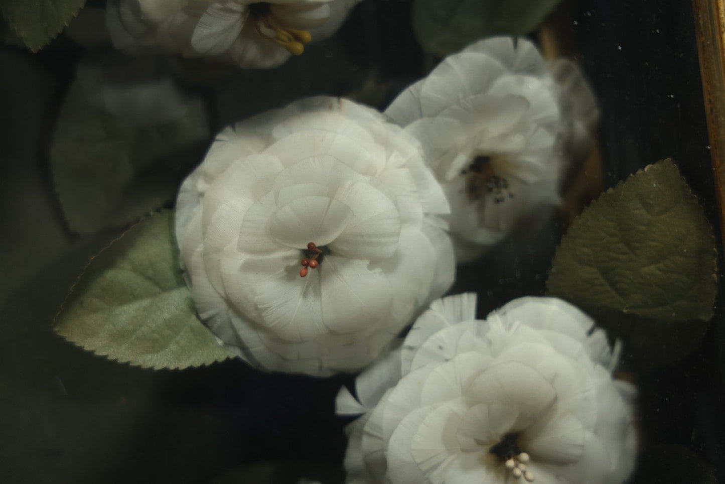Early 20th Century Shadow Box Bridal Keepsake With Feather Flowers And Wedding Photograph, 23-7/8" X 23-7/8"
