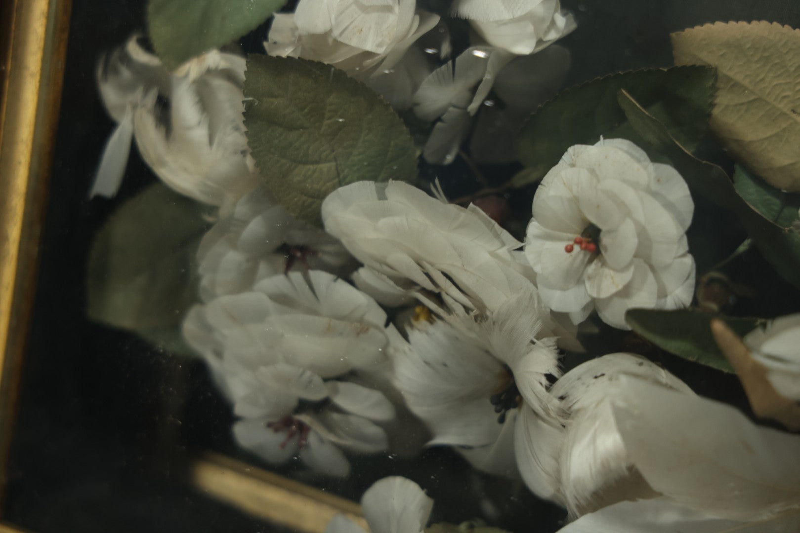 Early 20th Century Shadow Box Bridal Keepsake With Feather Flowers And Wedding Photograph, 23-7/8" X 23-7/8"