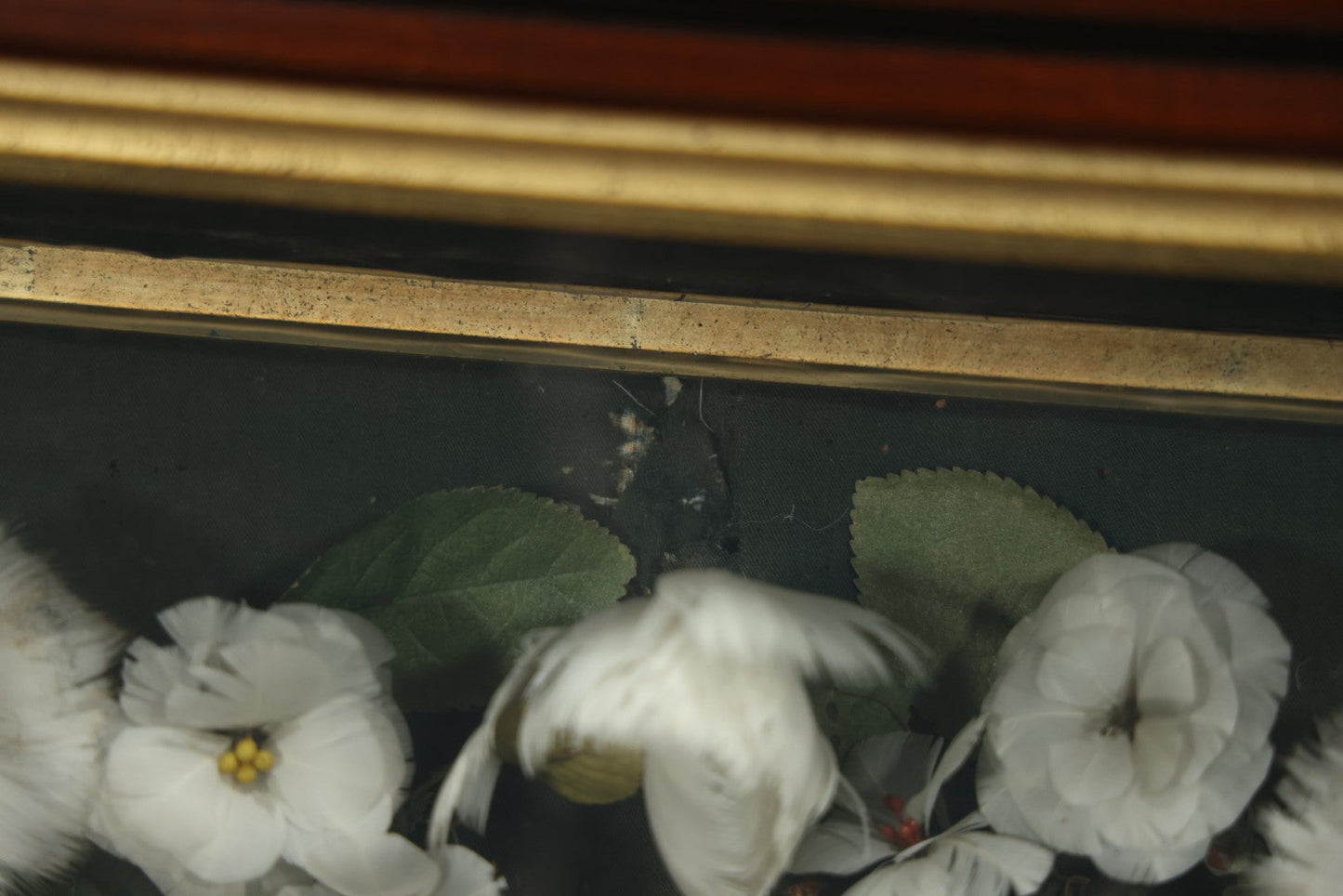 Early 20th Century Shadow Box Bridal Keepsake With Feather Flowers And Wedding Photograph, 23-7/8" X 23-7/8"