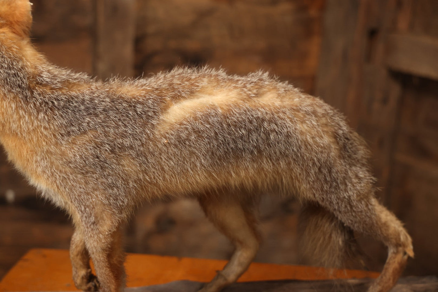 Vintage Taxidermy Fox Mount On Wooden Base, 32-3/4" L X 18-1/2" H