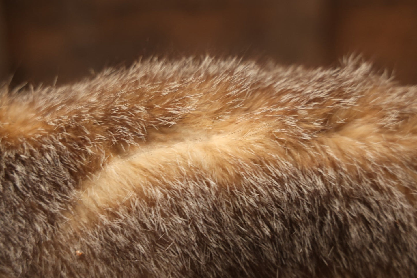 Vintage Taxidermy Fox Mount On Wooden Base, 32-3/4" L X 18-1/2" H