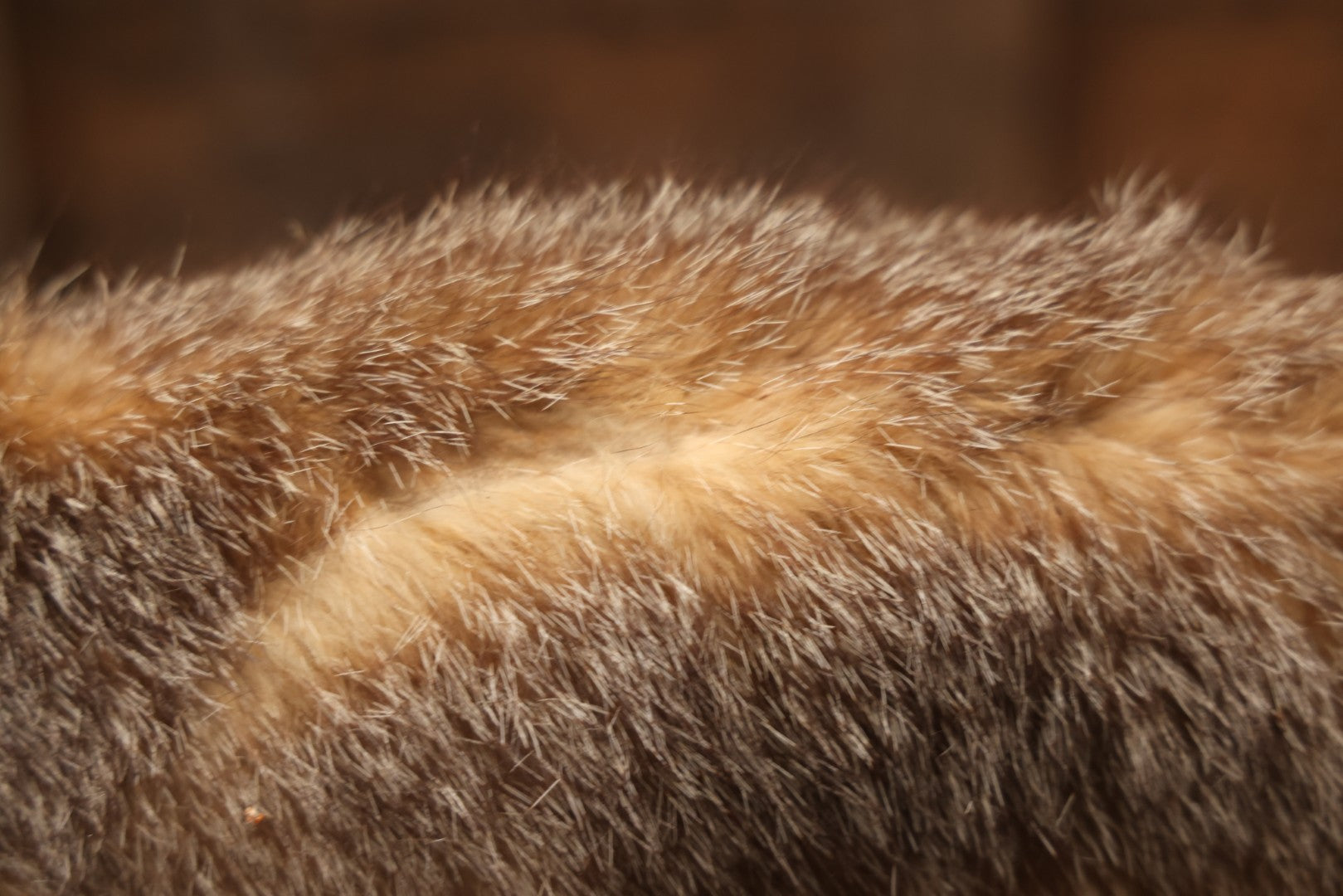 Vintage Taxidermy Fox Mount On Wooden Base, 32-3/4" L X 18-1/2" H