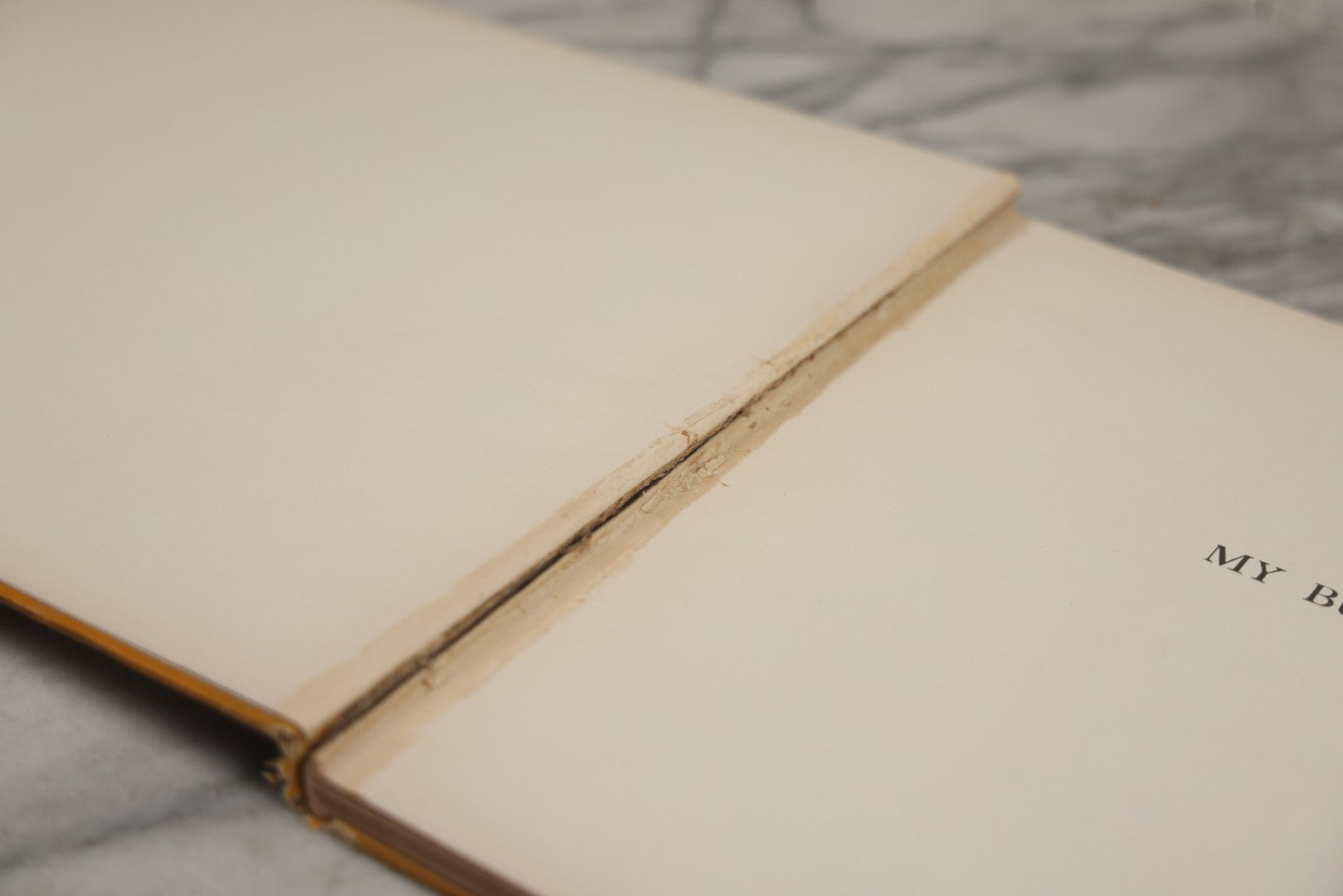 Lot 010 - "My Bunkie And Others" Collected Artistic Works Of Charles Schreyvogel, Signed By The Artist With Christmas 1909 Inscription "To My Friend O. A. Lehman," Published By Moffat, Yard & Company, New York, 1909