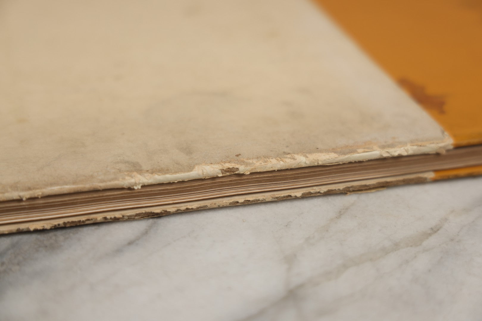 Lot 010 - "My Bunkie And Others" Collected Artistic Works Of Charles Schreyvogel, Signed By The Artist With Christmas 1909 Inscription "To My Friend O. A. Lehman," Published By Moffat, Yard & Company, New York, 1909