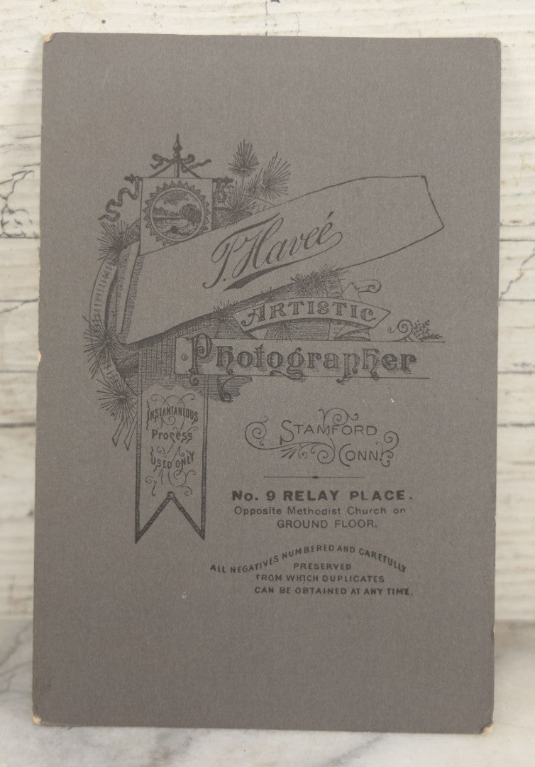 Lot 015 - Antique Cabinet Card Photograph Of Two Saint Bernard Dogs Identified As Baby Bylo And Aunt Sarah, Photographed By T. Havee, Stamford, Connecticut