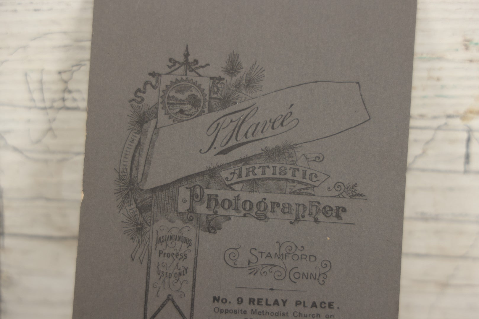 Lot 015 - Antique Cabinet Card Photograph Of Two Saint Bernard Dogs Identified As Baby Bylo And Aunt Sarah, Photographed By T. Havee, Stamford, Connecticut