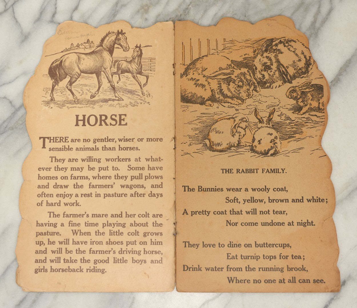 Lot 046 - Vintage Die-Cut Children's Book "Our Pets" In The Shape Of A Boston Terrier, Published By Charles E. Graham & Co., Newark, New Jersey And New York City